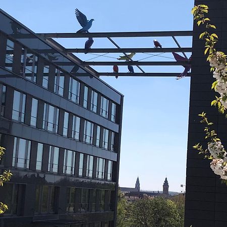 Gaestehaus Susanne Pfaffmann Landau in der Pfalz Esterno foto