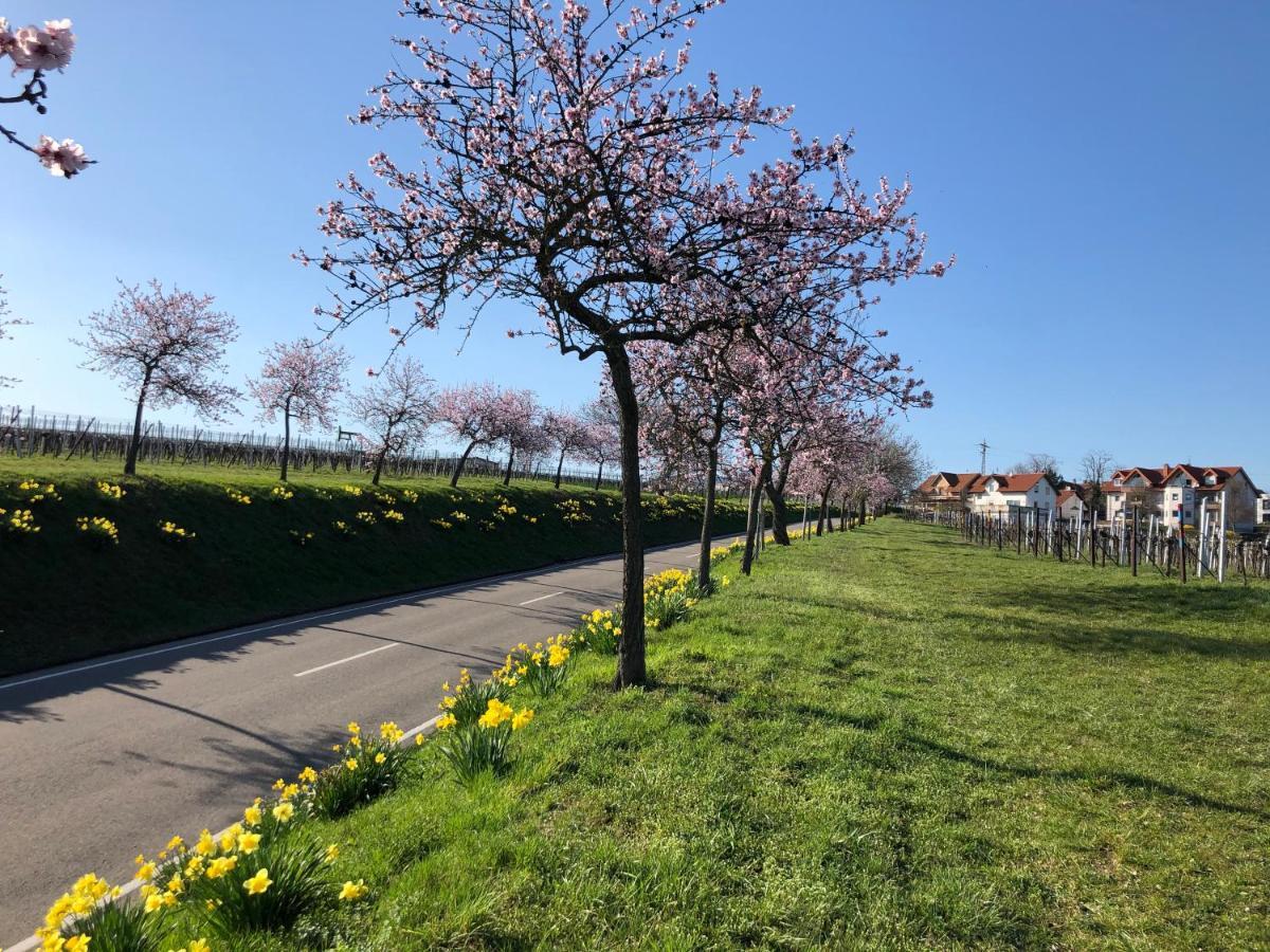 Gaestehaus Susanne Pfaffmann Landau in der Pfalz Esterno foto