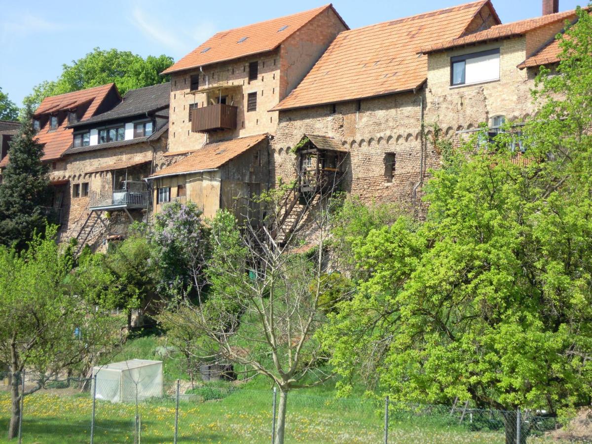 Gaestehaus Susanne Pfaffmann Landau in der Pfalz Esterno foto